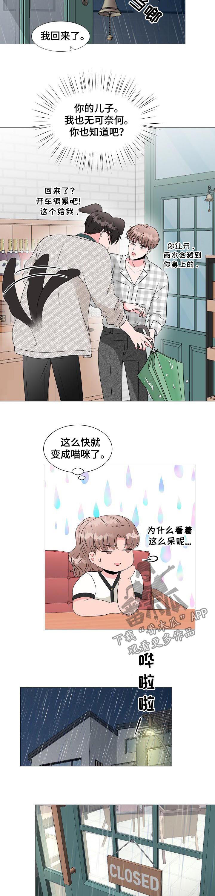 《猫猫初体验》漫画最新章节第34章：收到求婚免费下拉式在线观看章节第【9】张图片