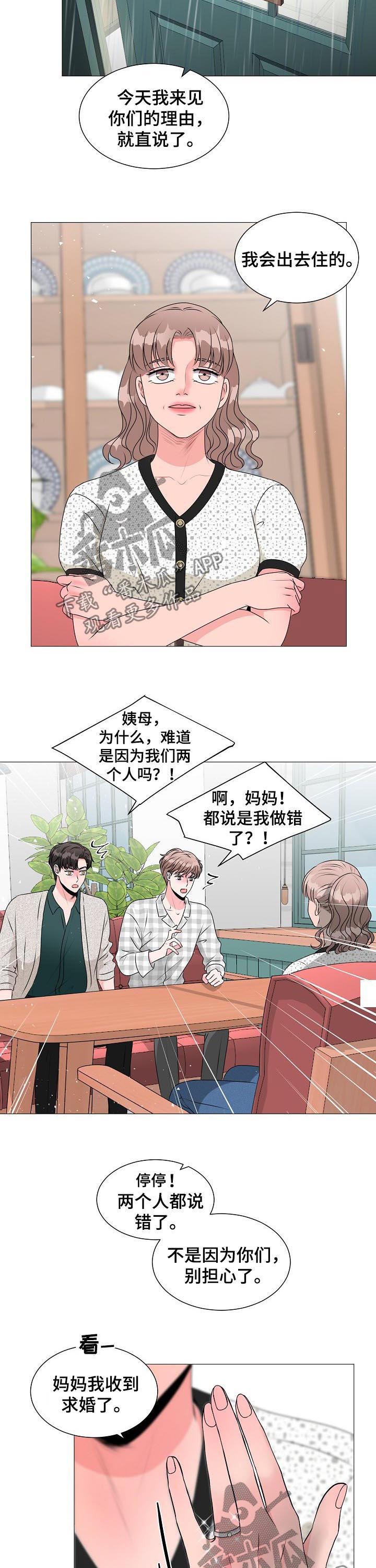 《猫猫初体验》漫画最新章节第34章：收到求婚免费下拉式在线观看章节第【8】张图片