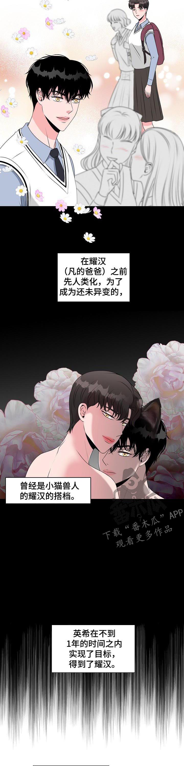 《猫猫初体验》漫画最新章节第34章：收到求婚免费下拉式在线观看章节第【11】张图片