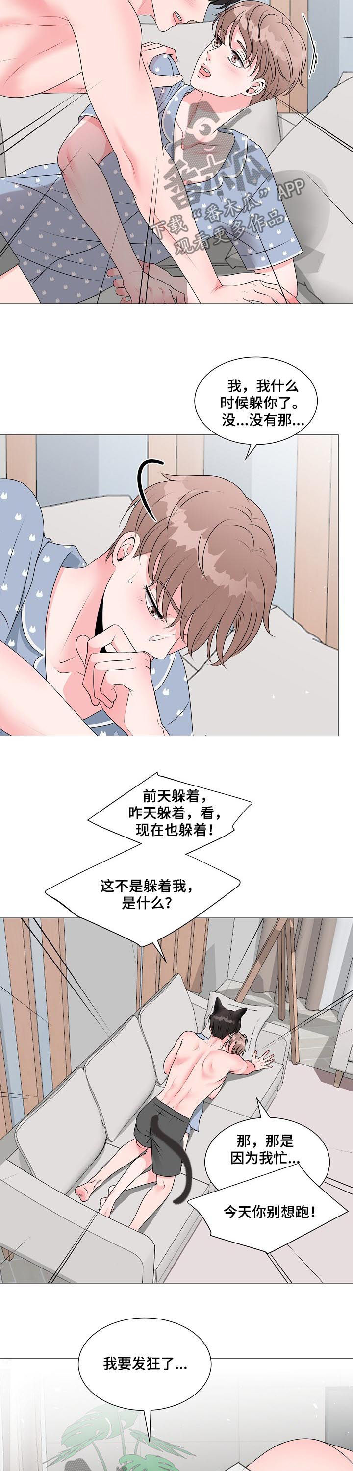 《猫猫初体验》漫画最新章节第36章：别想跑免费下拉式在线观看章节第【2】张图片