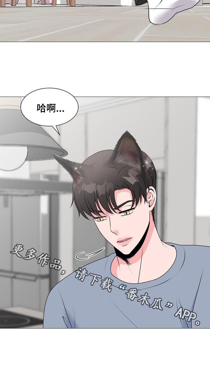 《猫猫初体验》漫画最新章节第38章：拍摄免费下拉式在线观看章节第【1】张图片