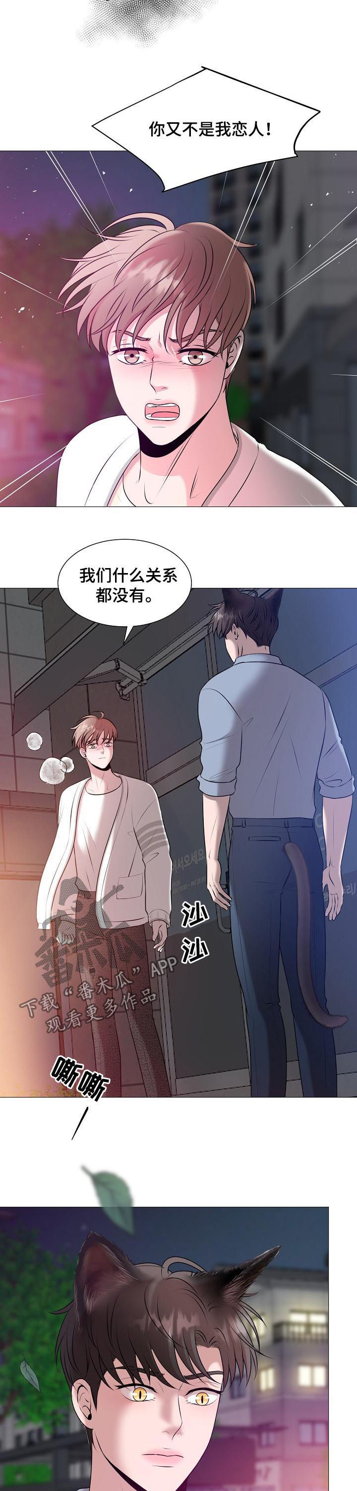 《猫猫初体验》漫画最新章节第40章：什么意思免费下拉式在线观看章节第【2】张图片