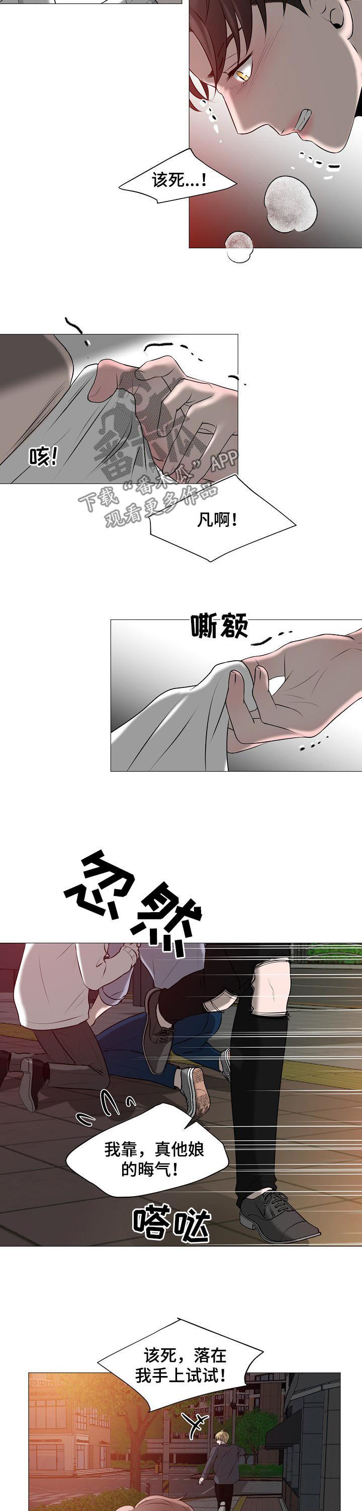 《猫猫初体验》漫画最新章节第40章：什么意思免费下拉式在线观看章节第【5】张图片