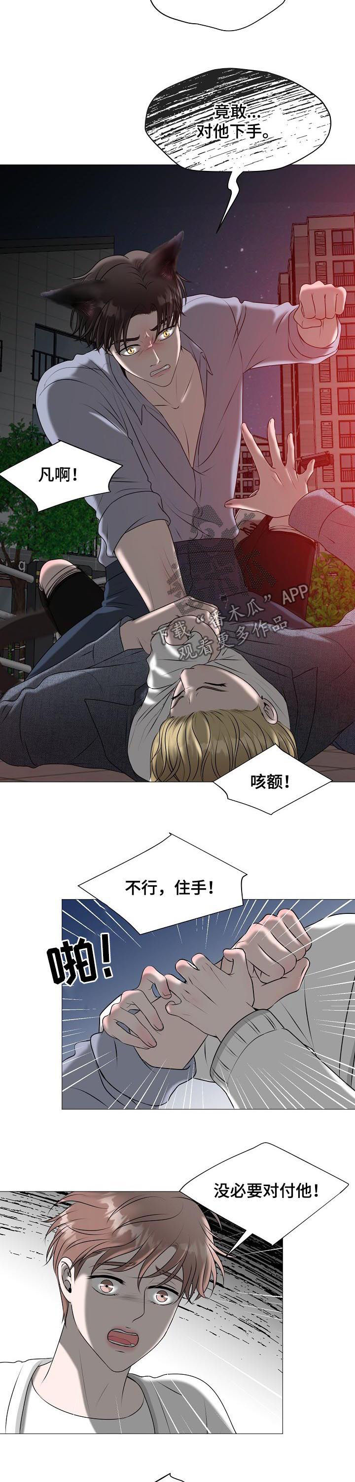 《猫猫初体验》漫画最新章节第40章：什么意思免费下拉式在线观看章节第【8】张图片