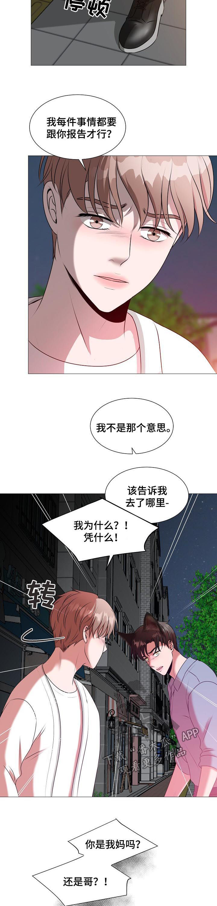 《猫猫初体验》漫画最新章节第40章：什么意思免费下拉式在线观看章节第【3】张图片