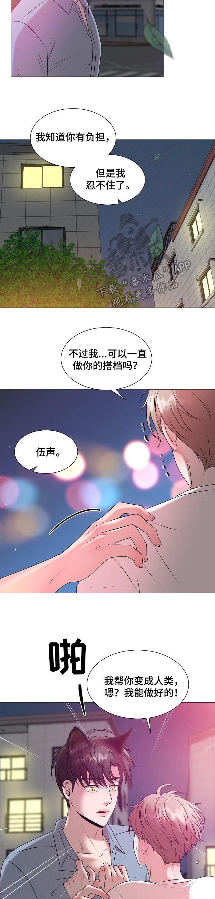 《猫猫初体验》漫画最新章节第41章：爱情免费下拉式在线观看章节第【8】张图片