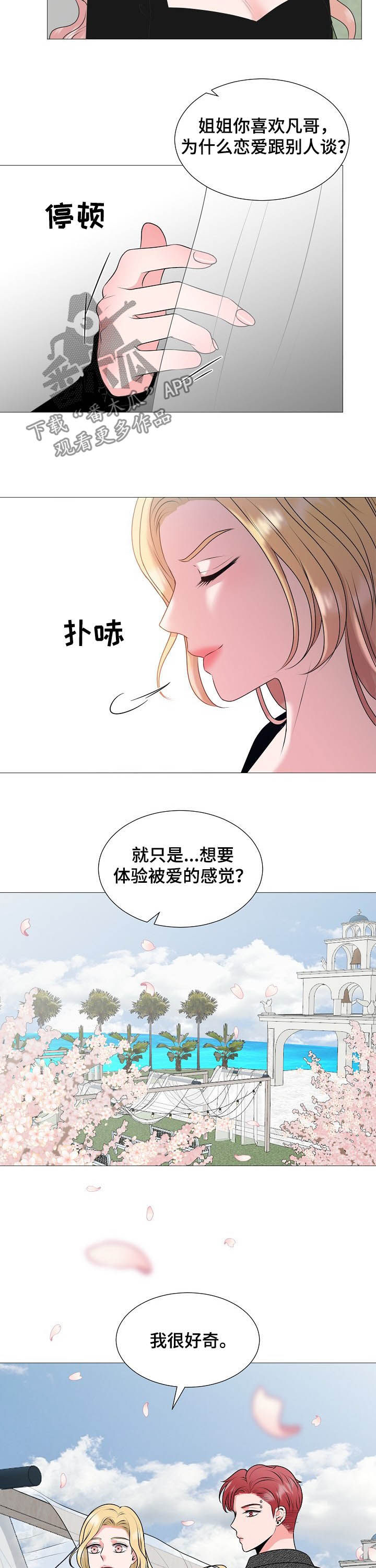 《猫猫初体验》漫画最新章节第44章：婚礼免费下拉式在线观看章节第【2】张图片