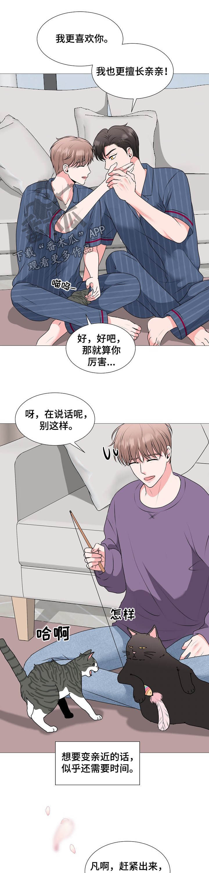 《猫猫初体验》漫画最新章节第44章：婚礼免费下拉式在线观看章节第【10】张图片