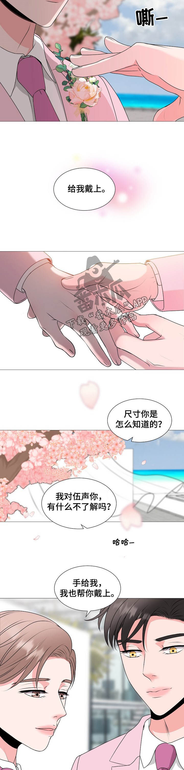 《猫猫初体验》漫画最新章节第45章：最后的爱情（完结）免费下拉式在线观看章节第【4】张图片