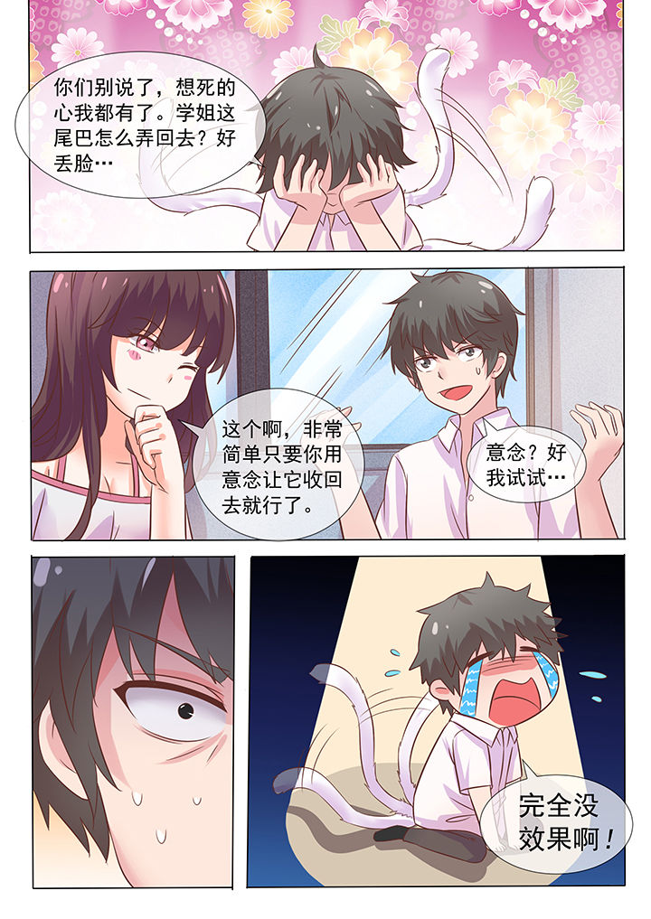 《妖灵列传》漫画最新章节第11章：免费下拉式在线观看章节第【3】张图片