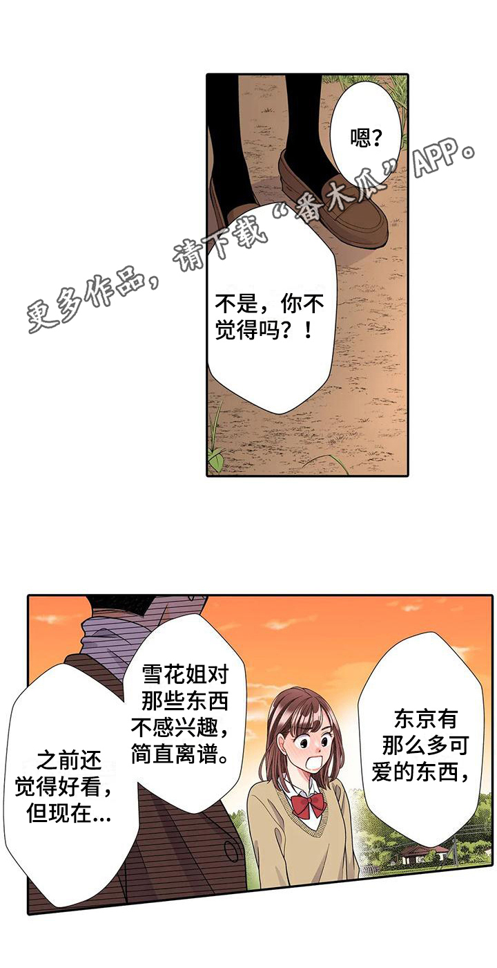 《野雪花之恋》漫画最新章节第20章：散步免费下拉式在线观看章节第【1】张图片