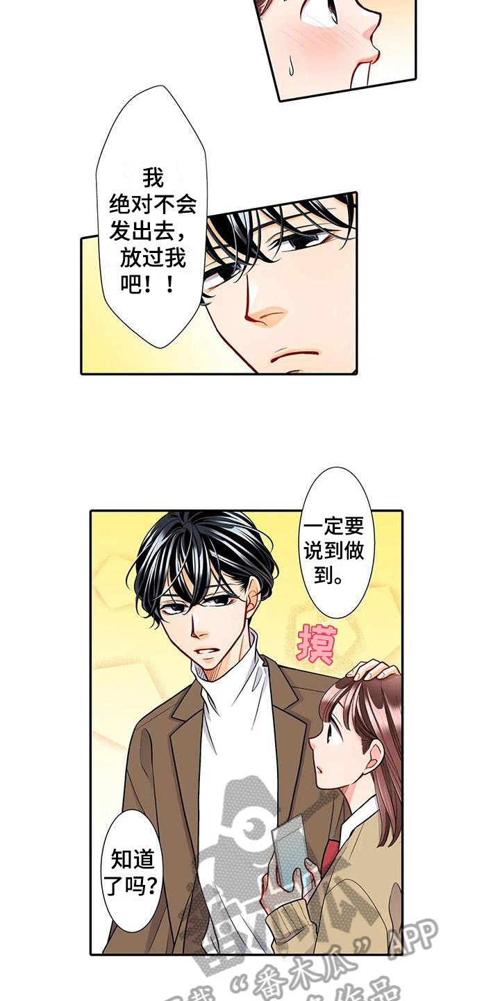 《野雪花之恋》漫画最新章节第21章：迷路免费下拉式在线观看章节第【9】张图片