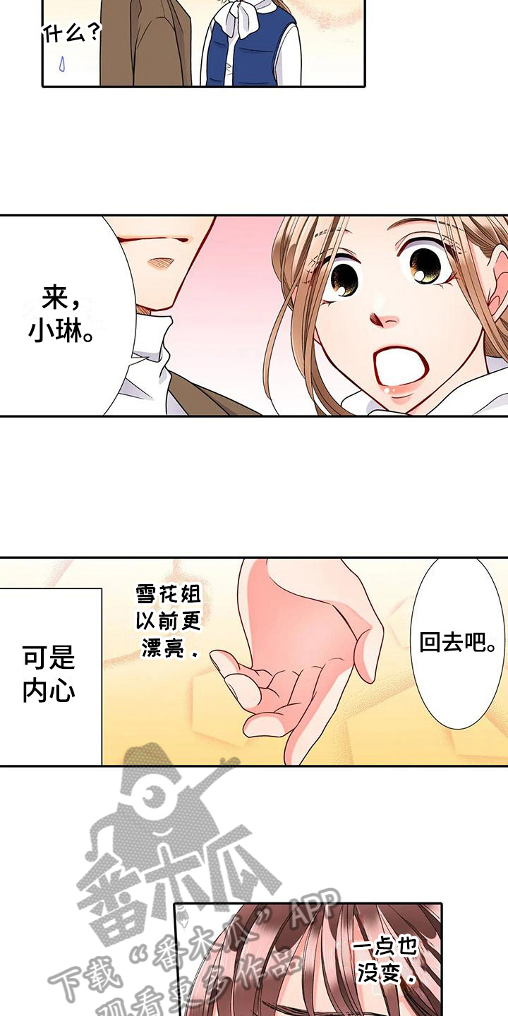 《野雪花之恋》漫画最新章节第22章：不想结婚免费下拉式在线观看章节第【10】张图片