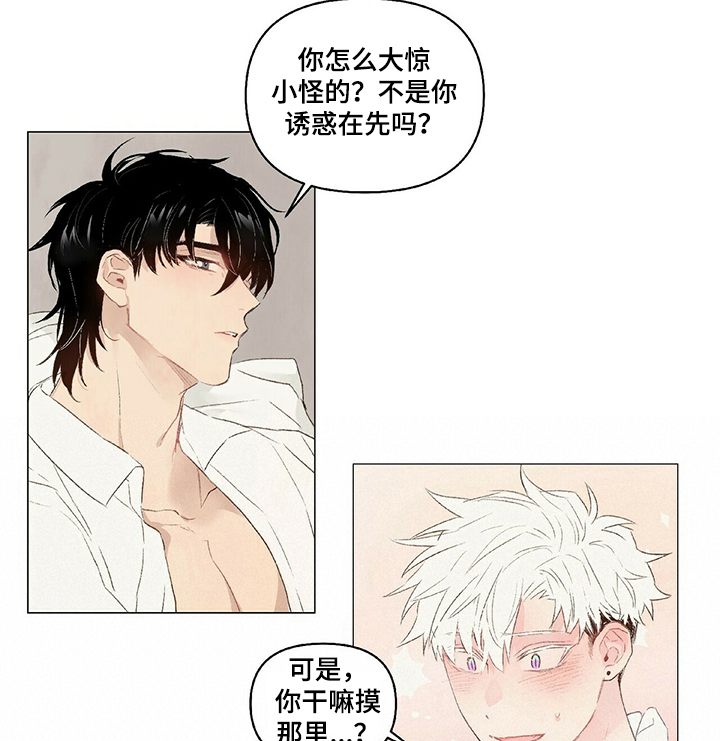 《宠物项圈》漫画最新章节第32章：女装免费下拉式在线观看章节第【4】张图片