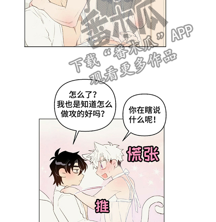 《宠物项圈》漫画最新章节第32章：女装免费下拉式在线观看章节第【2】张图片