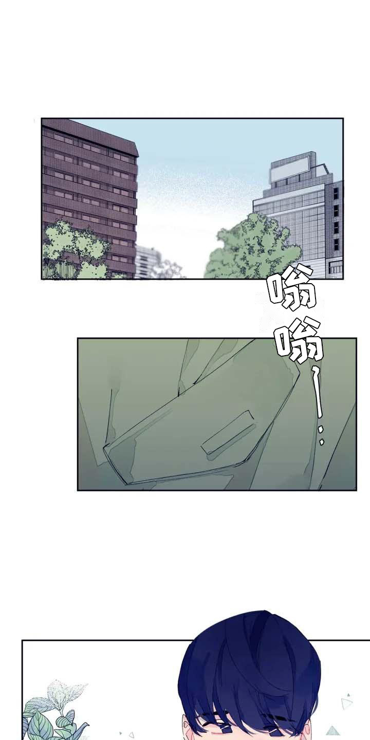 《结婚学概论》漫画最新章节第3章：发消息免费下拉式在线观看章节第【18】张图片