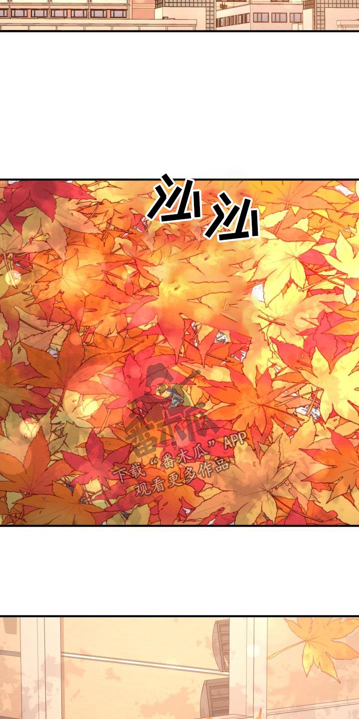 《失落的情感》漫画最新章节第84章：差一点免费下拉式在线观看章节第【6】张图片