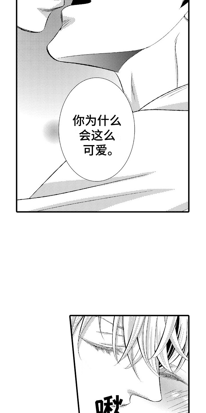 《他的光芒》漫画最新章节第26章：表白免费下拉式在线观看章节第【13】张图片