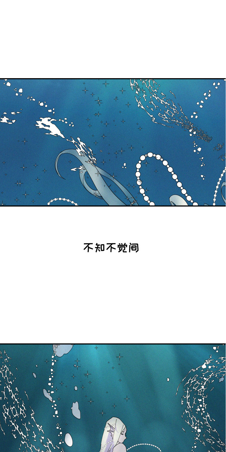 《人鱼海》漫画最新章节第1章：人鱼姐姐免费下拉式在线观看章节第【5】张图片