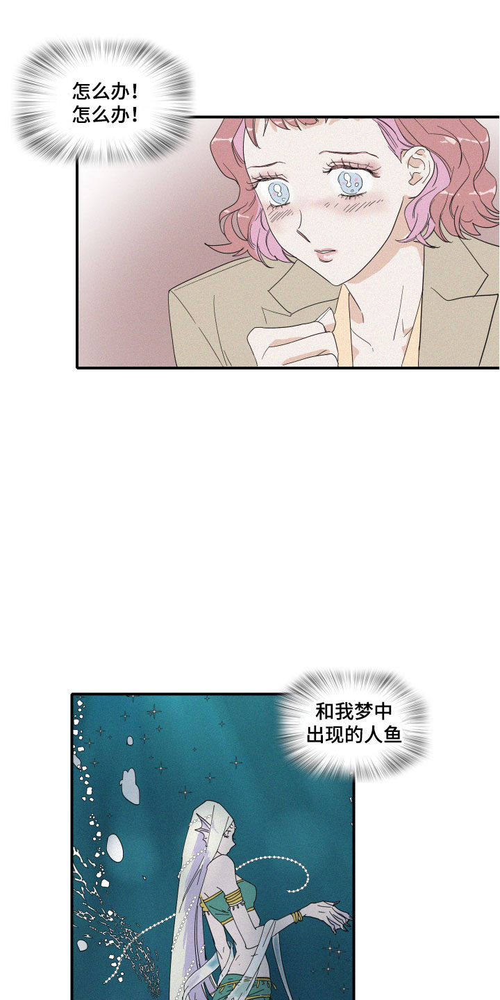 《人鱼海》漫画最新章节第2章：理想型免费下拉式在线观看章节第【4】张图片