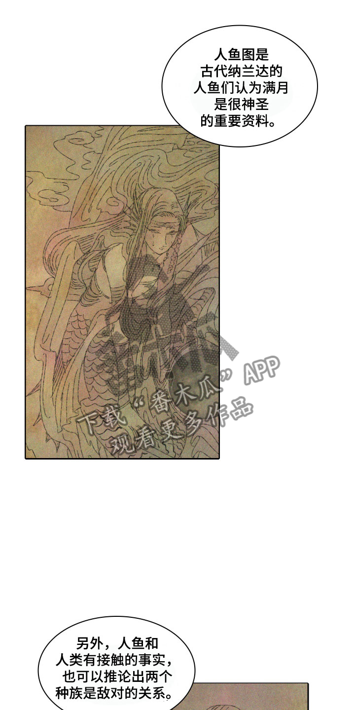 《人鱼海》漫画最新章节第11章：传言免费下拉式在线观看章节第【12】张图片