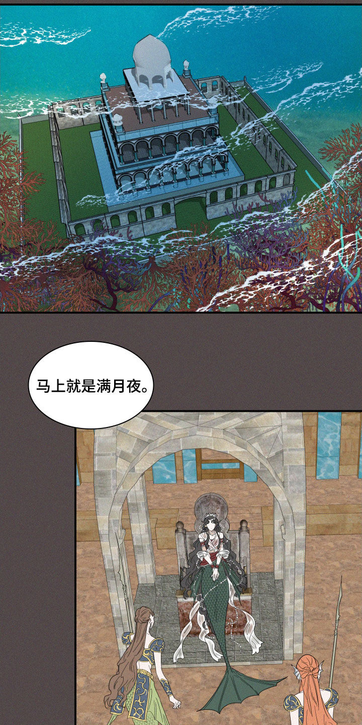 《人鱼海》漫画最新章节第35章：魔女免费下拉式在线观看章节第【4】张图片