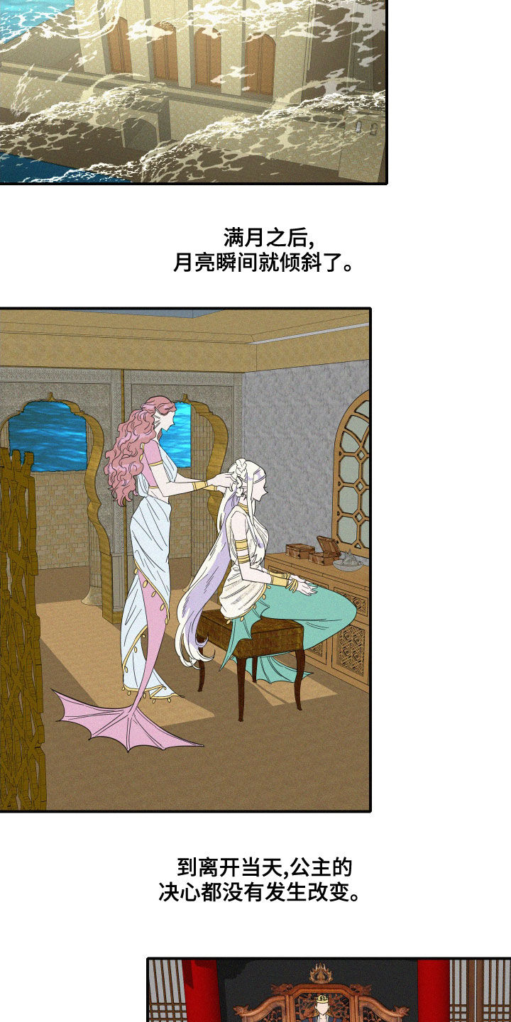 《人鱼海》漫画最新章节第40章：婚礼免费下拉式在线观看章节第【11】张图片