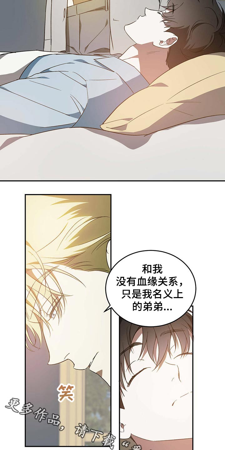 《主仆关系》漫画最新章节第45章：没有血缘关系的弟弟免费下拉式在线观看章节第【2】张图片