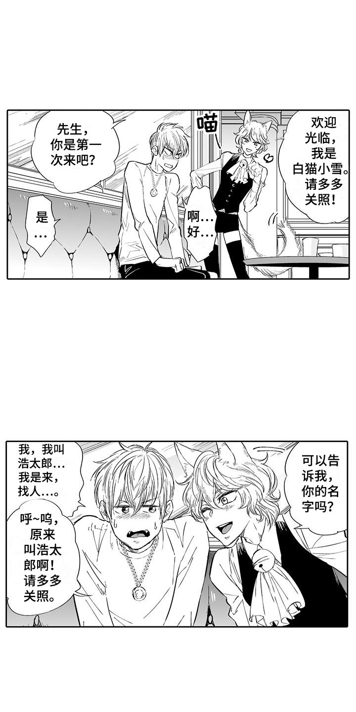 《我的小奶猫》漫画最新章节第2章：猫咪咖啡屋免费下拉式在线观看章节第【9】张图片