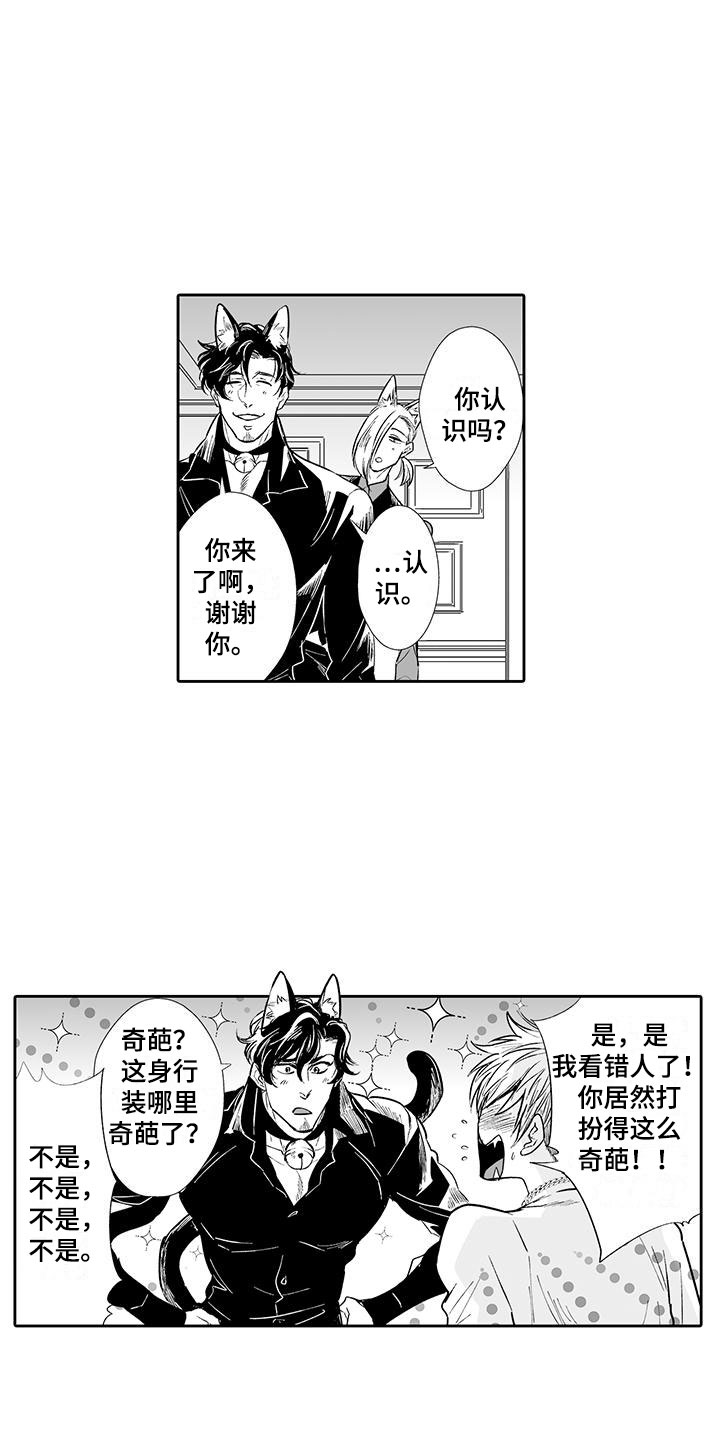 《我的小奶猫》漫画最新章节第2章：猫咪咖啡屋免费下拉式在线观看章节第【5】张图片