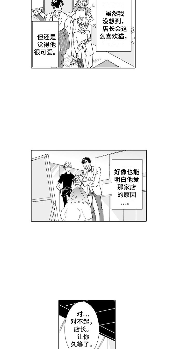 《我的小奶猫》漫画最新章节第5章：一起逛街吧免费下拉式在线观看章节第【4】张图片