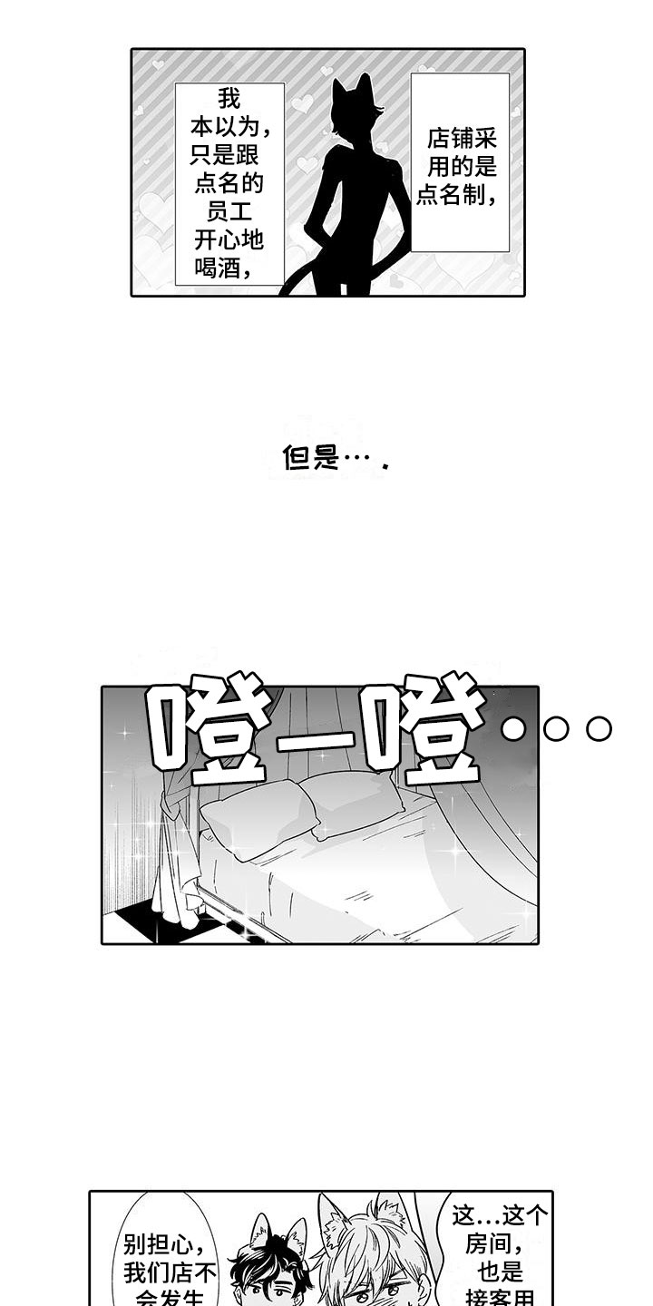 《我的小奶猫》漫画最新章节第6章：奶酪猫免费下拉式在线观看章节第【4】张图片