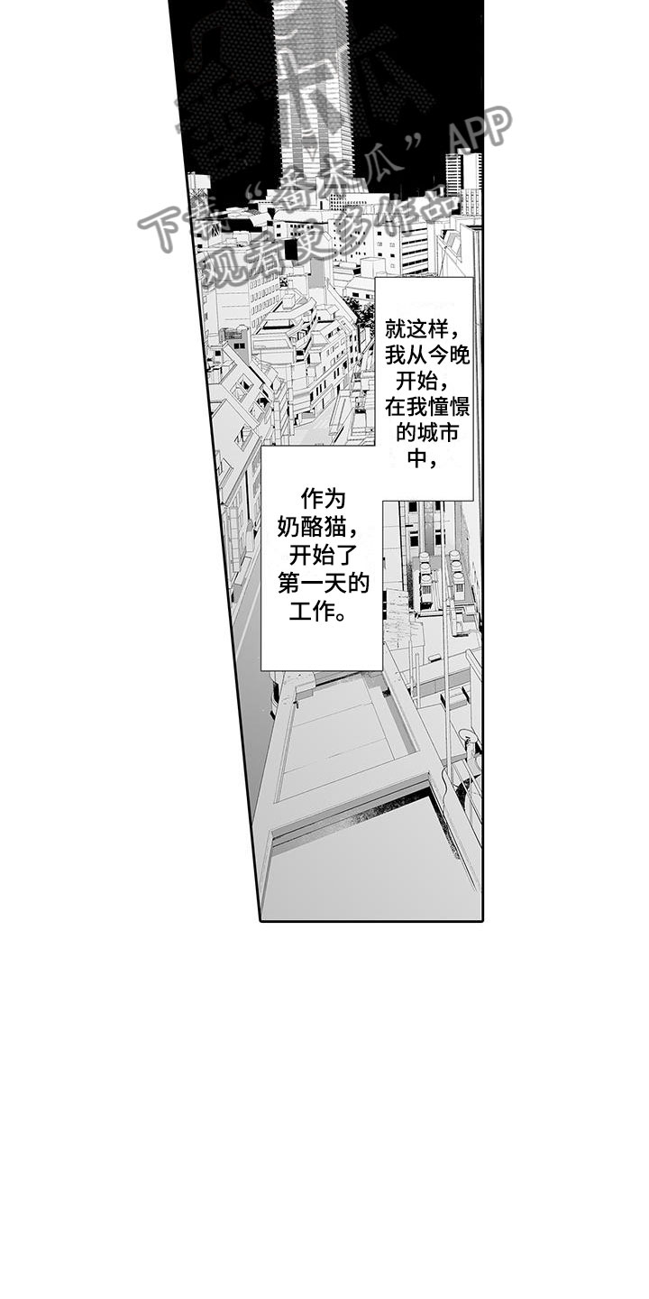 《我的小奶猫》漫画最新章节第6章：奶酪猫免费下拉式在线观看章节第【5】张图片