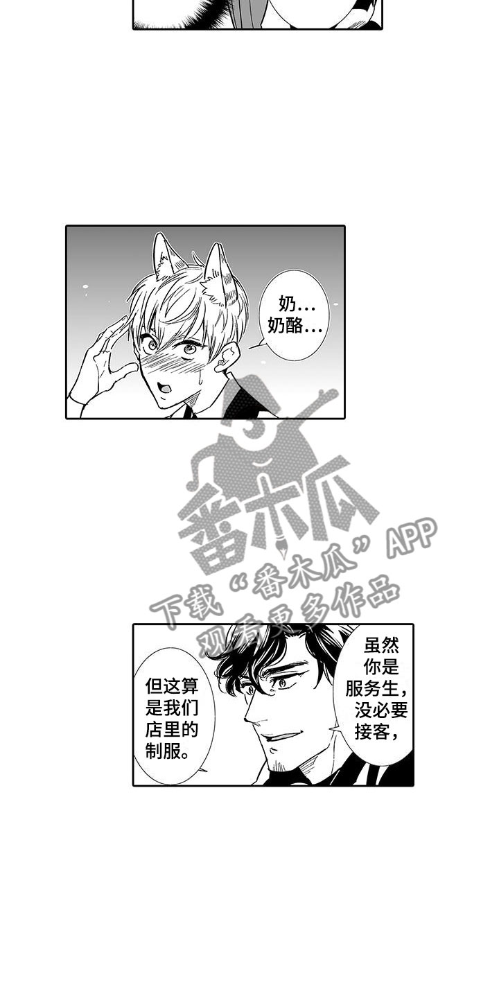 《我的小奶猫》漫画最新章节第6章：奶酪猫免费下拉式在线观看章节第【7】张图片