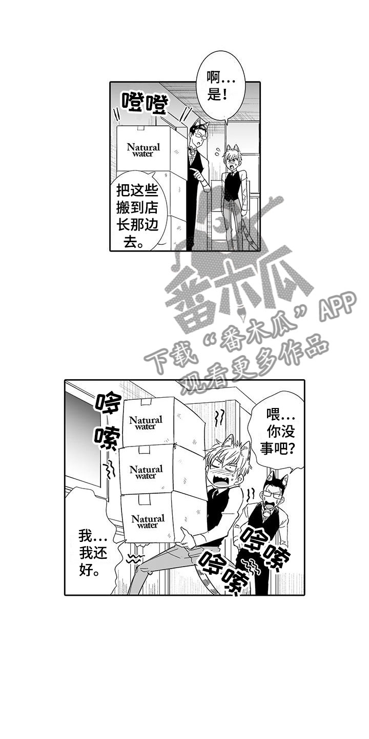 《我的小奶猫》漫画最新章节第16章：态度大变免费下拉式在线观看章节第【6】张图片