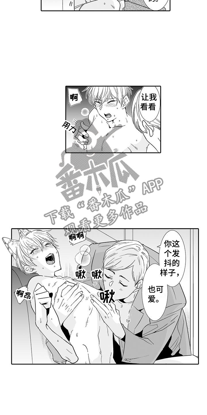 《我的小奶猫》漫画最新章节第17章：指名免费下拉式在线观看章节第【11】张图片