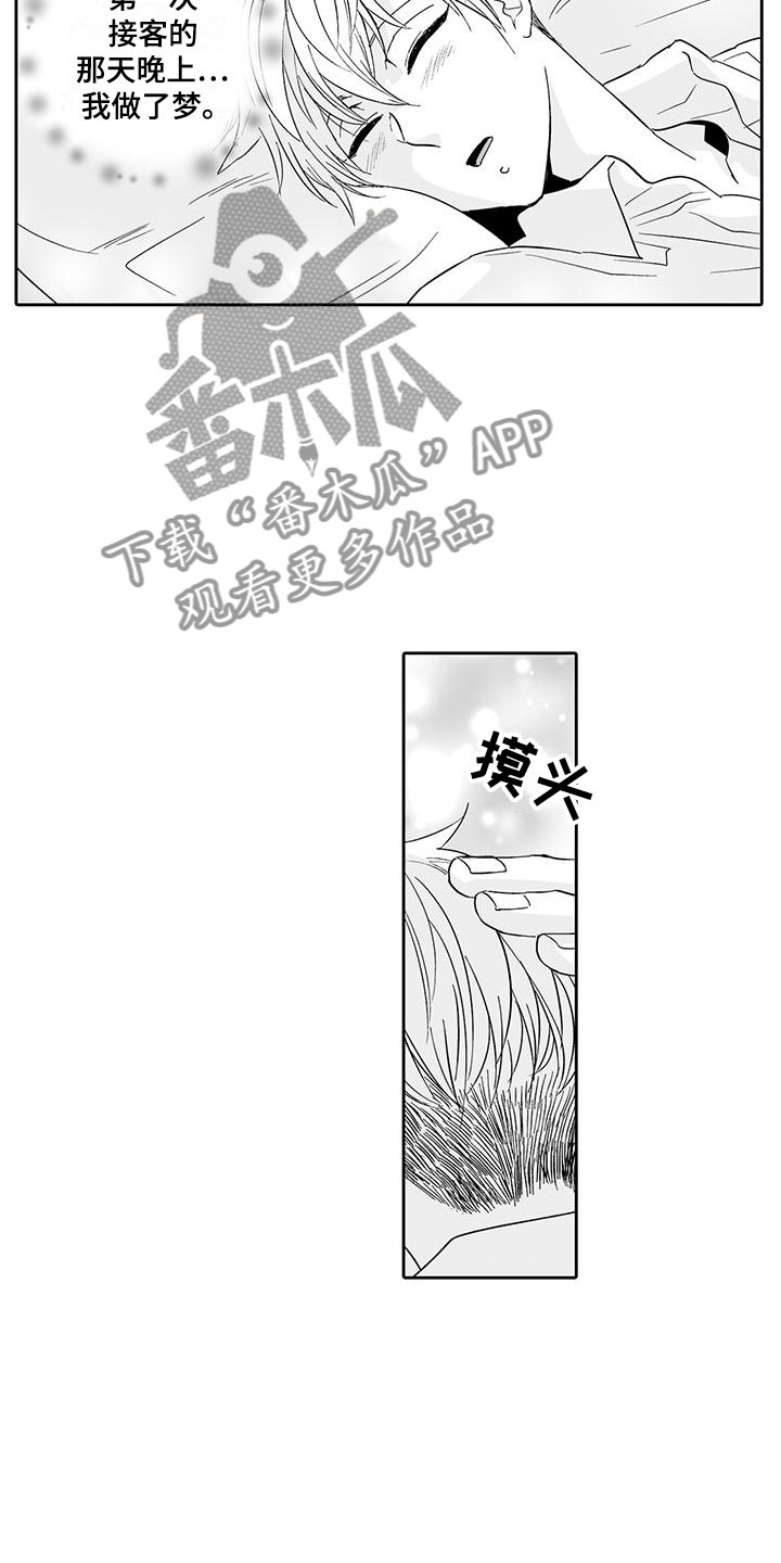 《我的小奶猫》漫画最新章节第18章：背道而驰免费下拉式在线观看章节第【7】张图片