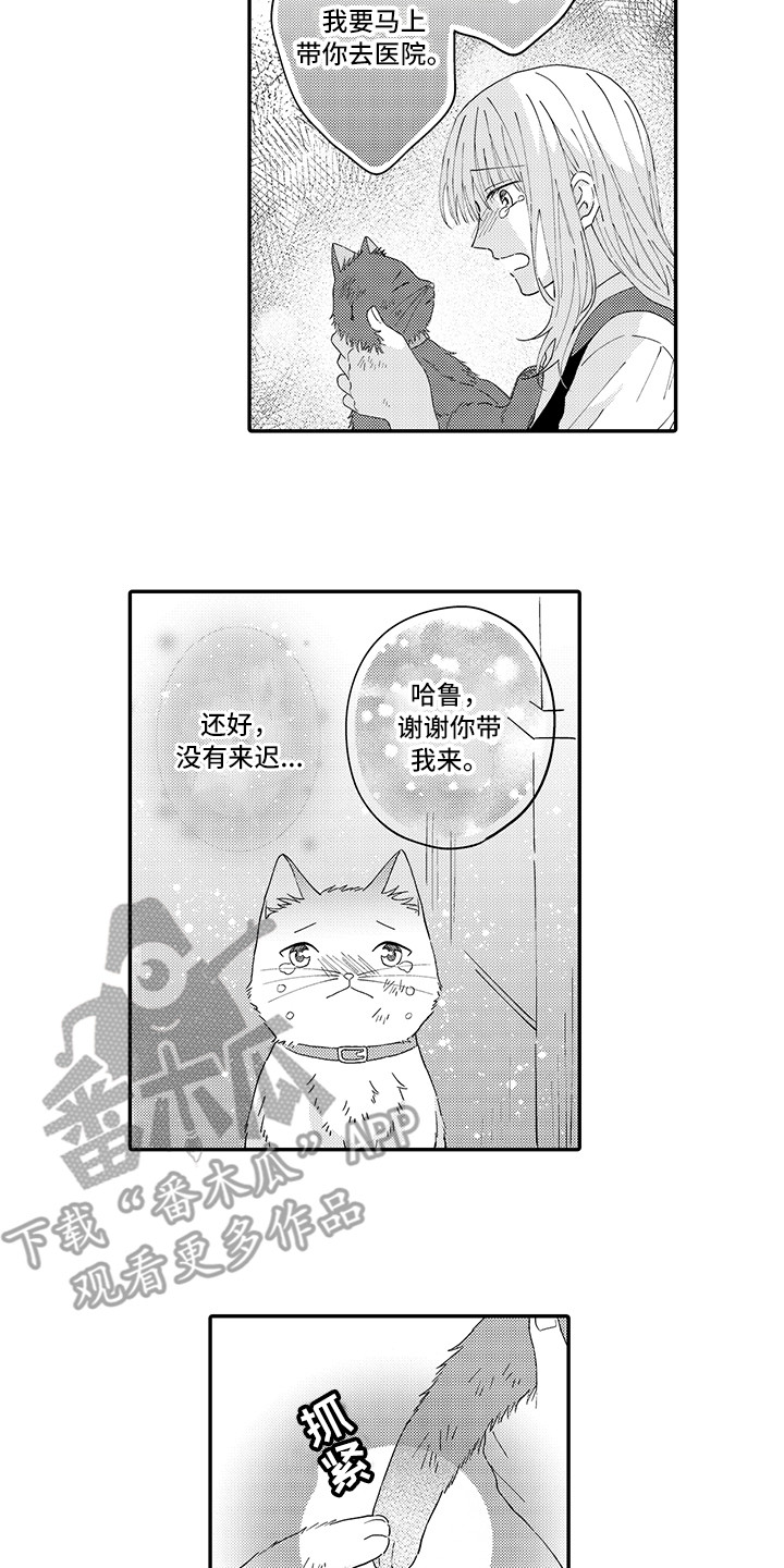 猫咪之家-第20章：求救全彩韩漫标签