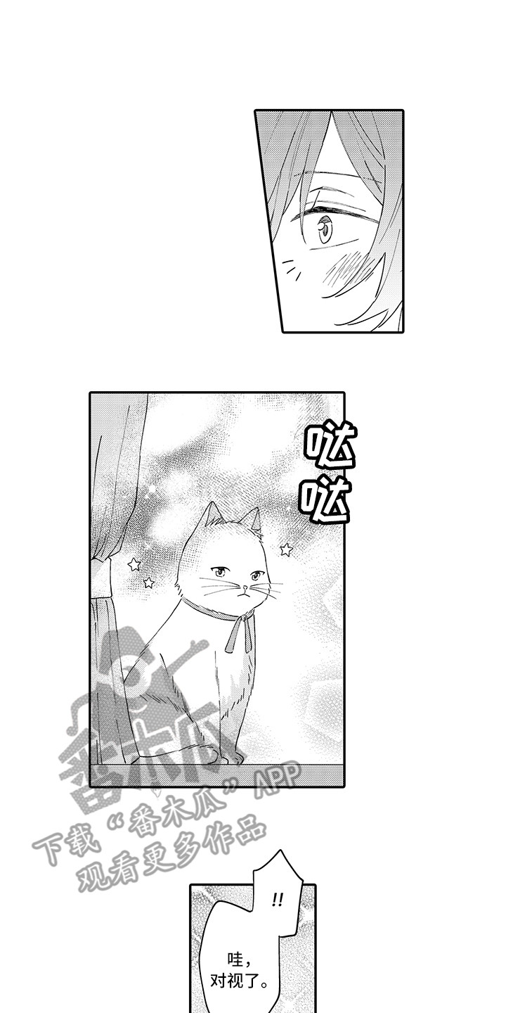 猫咪之家-第23章：嫉妒全彩韩漫标签