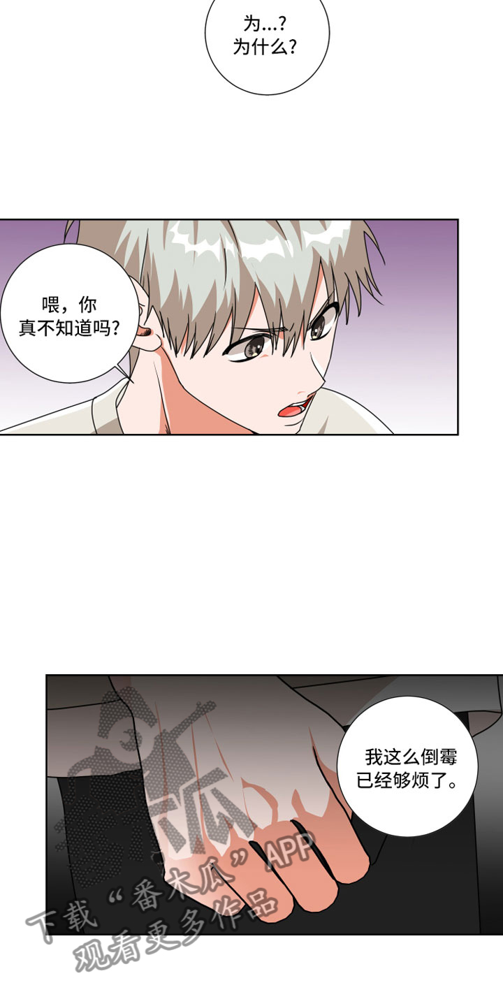 《只接受完美结局》漫画最新章节第10章：和我一组免费下拉式在线观看章节第【6】张图片