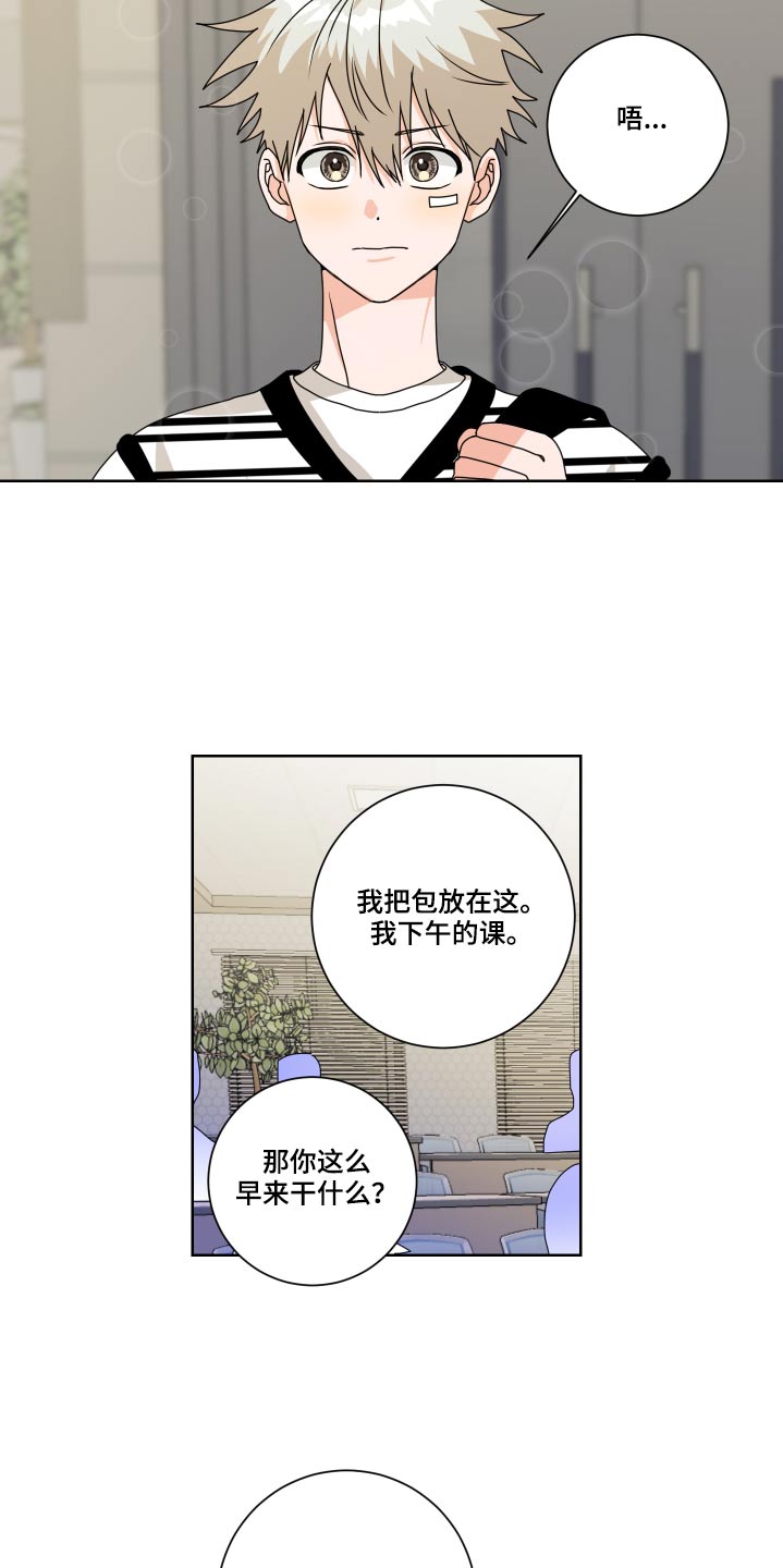 《只接受完美结局》漫画最新章节第33章：理解免费下拉式在线观看章节第【14】张图片