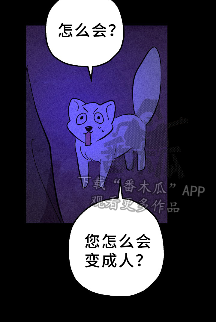 《灵狐为伴》漫画最新章节第22章：愿望免费下拉式在线观看章节第【4】张图片