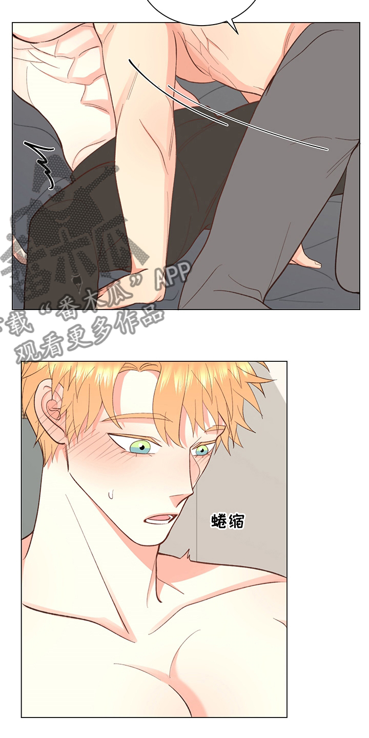 《书中世界》漫画最新章节第37章：【番外】一起生活免费下拉式在线观看章节第【18】张图片