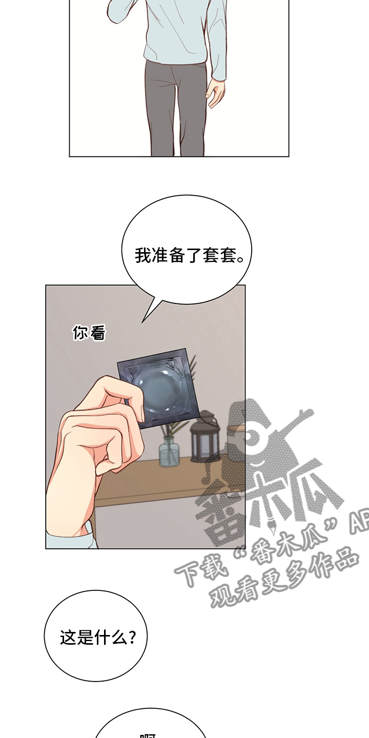 《书中世界》漫画最新章节第37章：【番外】一起生活免费下拉式在线观看章节第【20】张图片