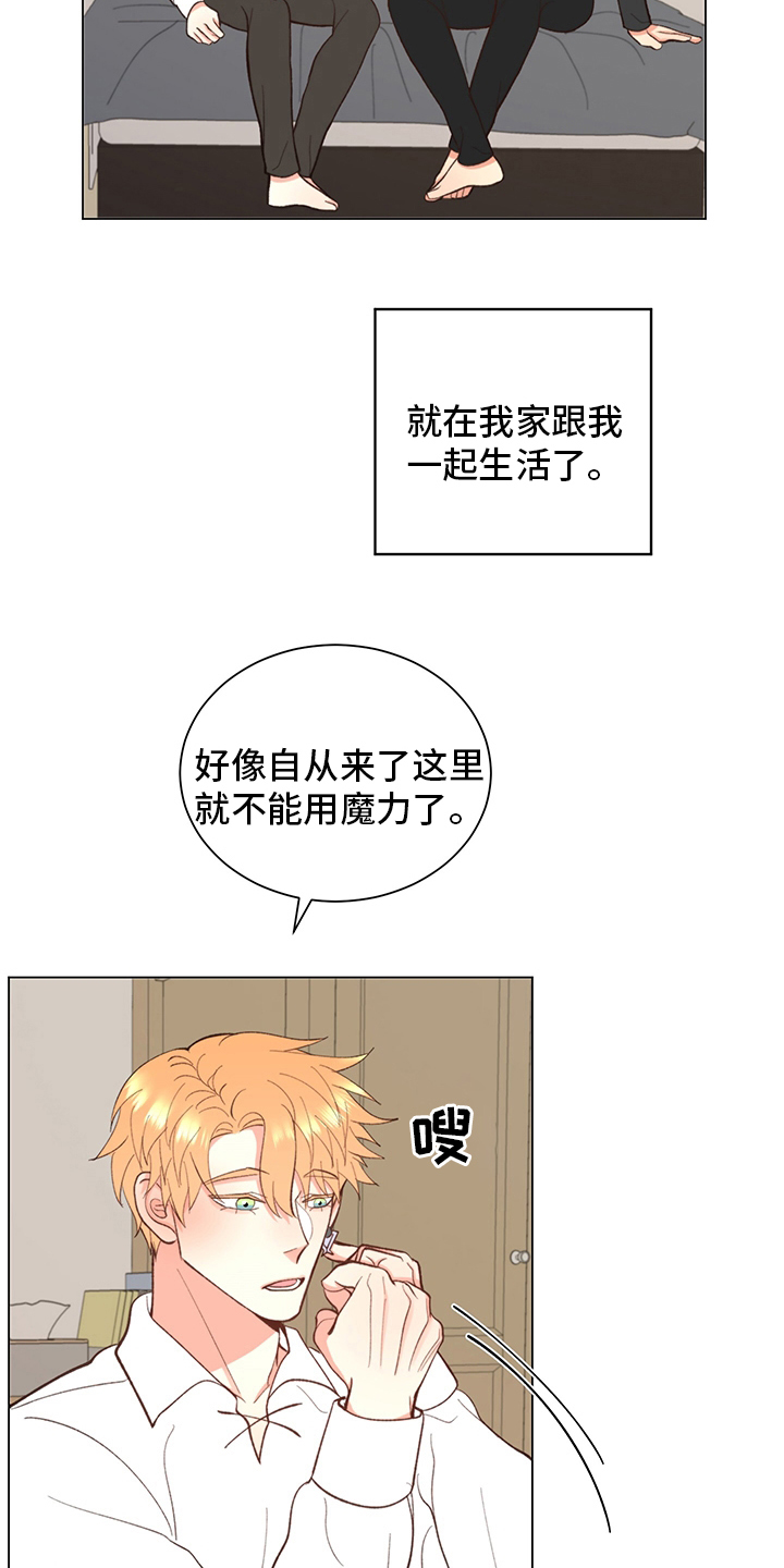 《书中世界》漫画最新章节第37章：【番外】一起生活免费下拉式在线观看章节第【29】张图片