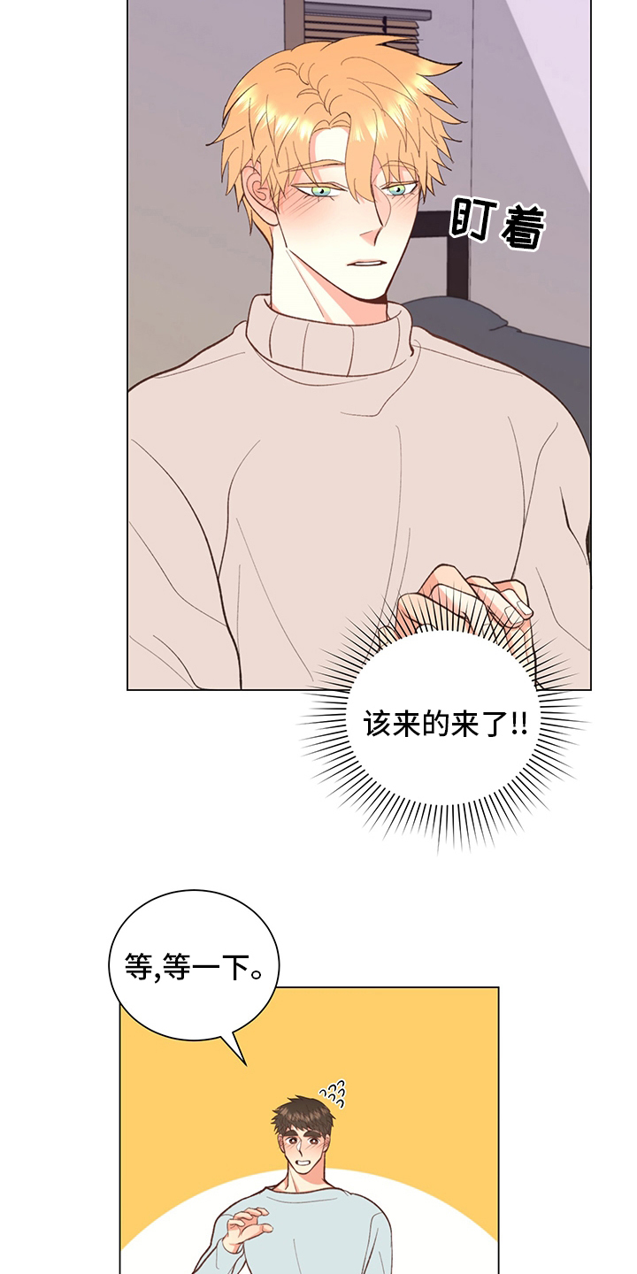 《书中世界》漫画最新章节第37章：【番外】一起生活免费下拉式在线观看章节第【21】张图片