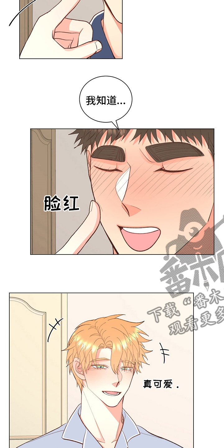 《书中世界》漫画最新章节第38章：【番外】玩具免费下拉式在线观看章节第【15】张图片