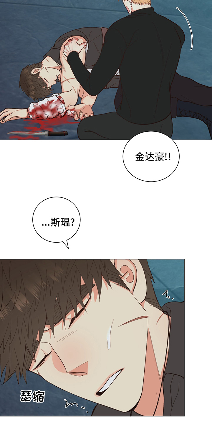 《书中世界》漫画最新章节第40章：【番外】紫色瞳孔免费下拉式在线观看章节第【17】张图片