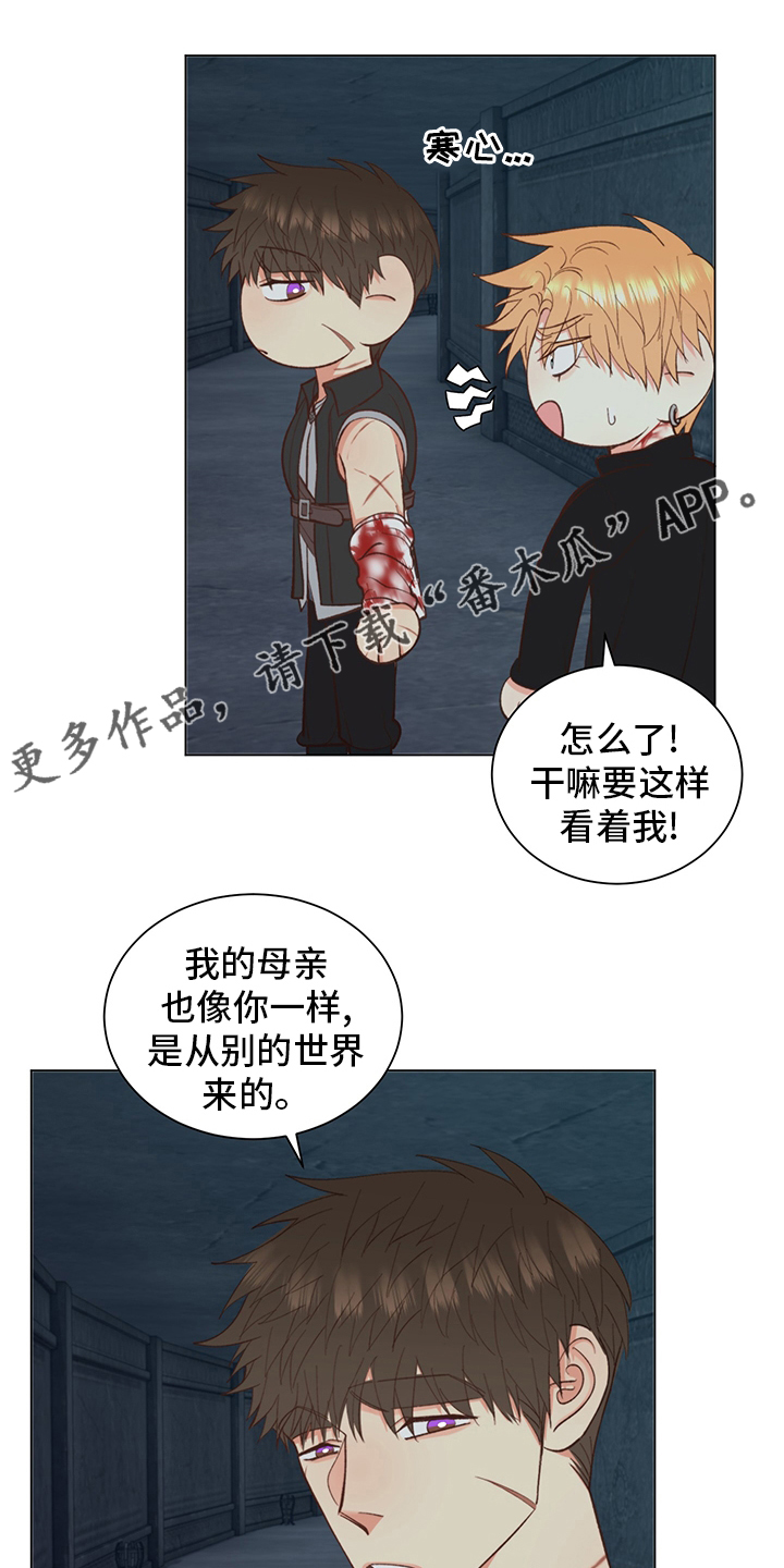 《书中世界》漫画最新章节第41章：【番外】失神免费下拉式在线观看章节第【17】张图片