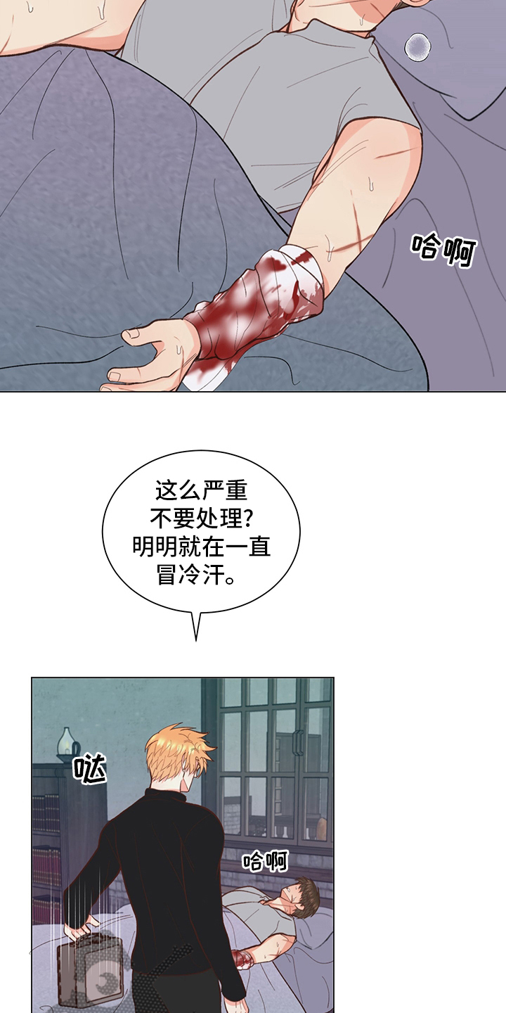 《书中世界》漫画最新章节第41章：【番外】失神免费下拉式在线观看章节第【6】张图片